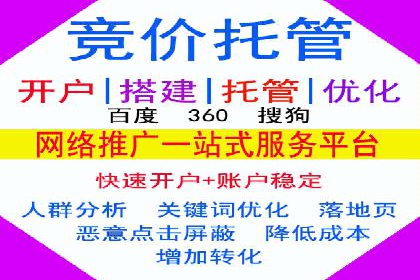 网络推广竞价策略案例分析